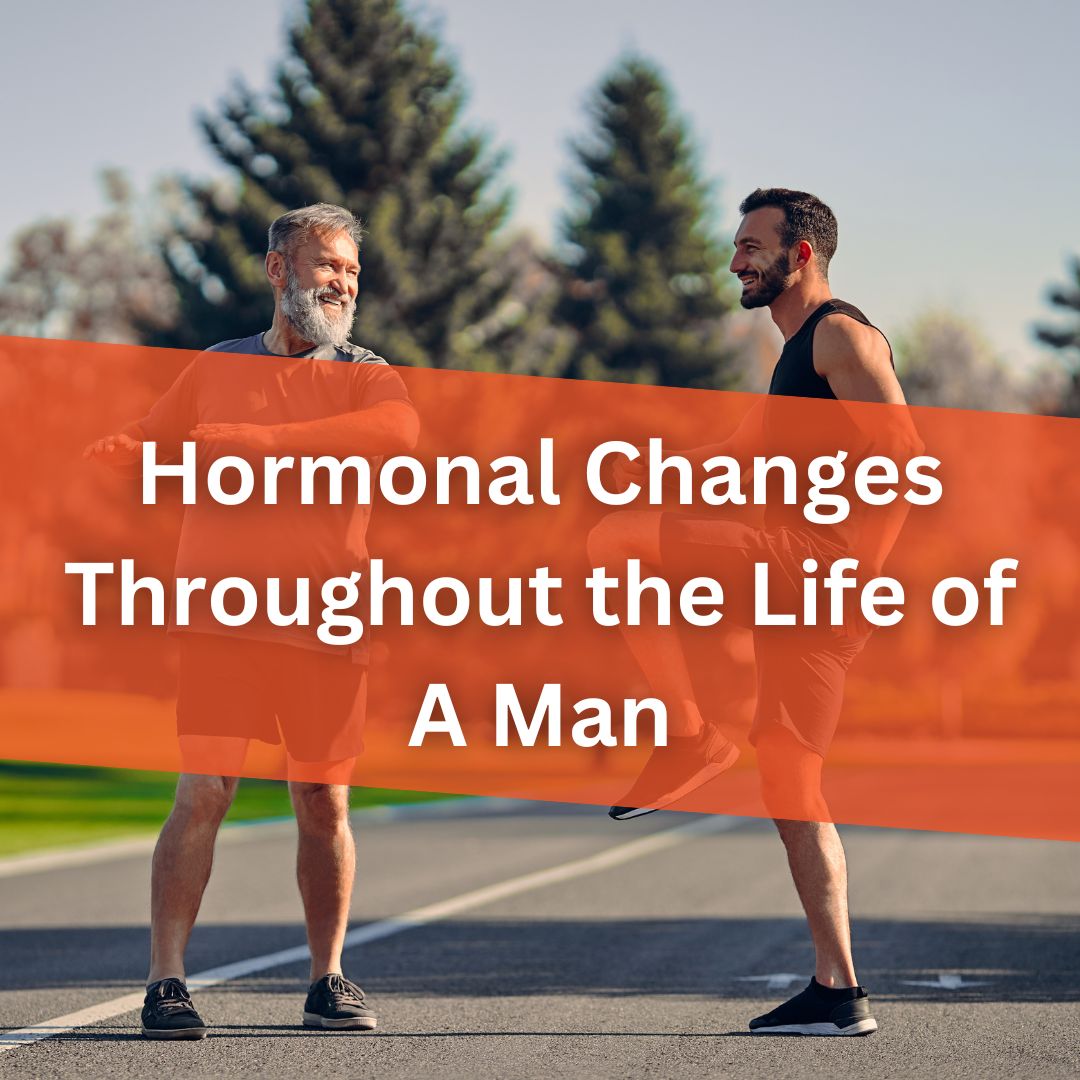 Hormonal Changes Throughout the Life of a Man
